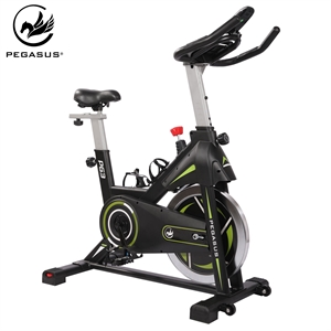 Pegasus® Magnetic Spin Bike PG3