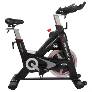 Pegasus® Spin Bike PG5
