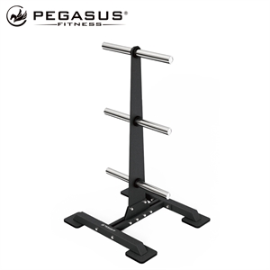 Pegasus® Olympic Plates Rack