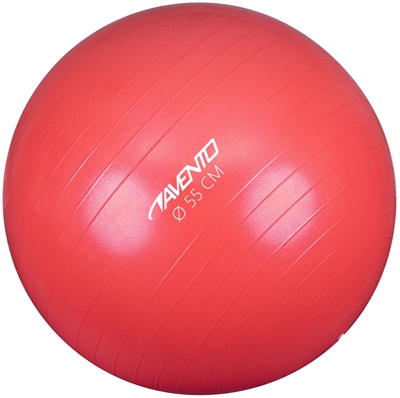 Avento® Fitness Gym Ball (55 cm)