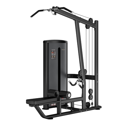 Insight fitness - Pulldown Row