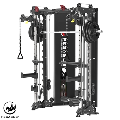 Pegasus® Folding All-In-One Trainer PG-3000