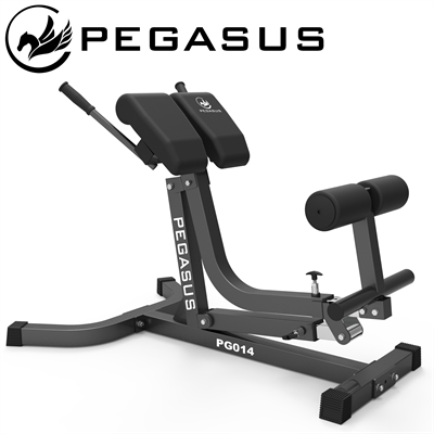 Pegasus® Adjustable Hyperextension Bench PG-014