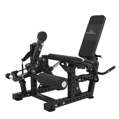 Pegasus Fitness - Leg Extension/Lying Leg Curl