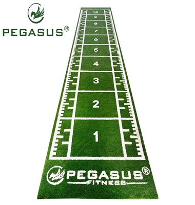 Pegasus® Synthetic Turf 2x11m (3159)