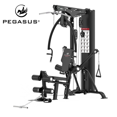 Pegasus® Home Gym HG8