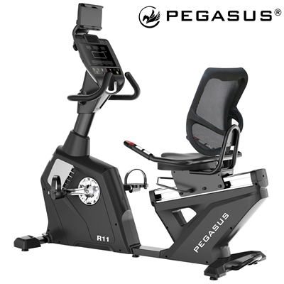 Καθιστό Ποδήλατο Pegasus® R11