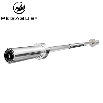 Pegasus® - Olympic Barbell 1500mm*28mm (13kg)
