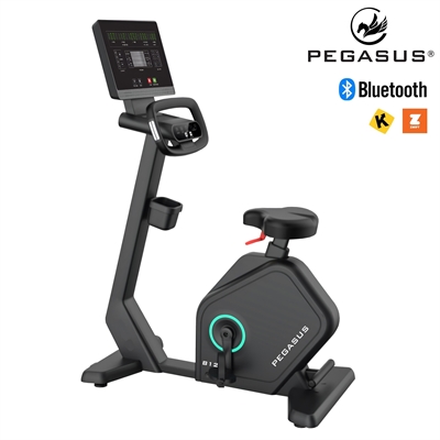 Στατικό Ποδήλατο Pegasus® B12