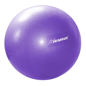 Pegasus® Pilates Ball 25cm (Purple)
