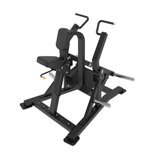 Insight fitness - Seated Row