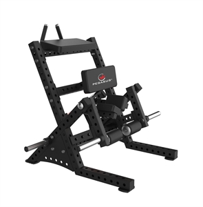 Pegasus Fitness - Standing Leg Curl