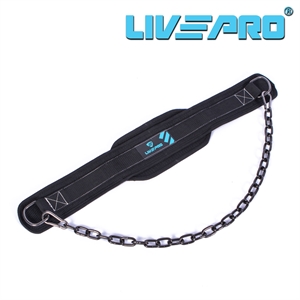 Dip Training Belt (with steel chains)